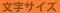 �����T�C�Y